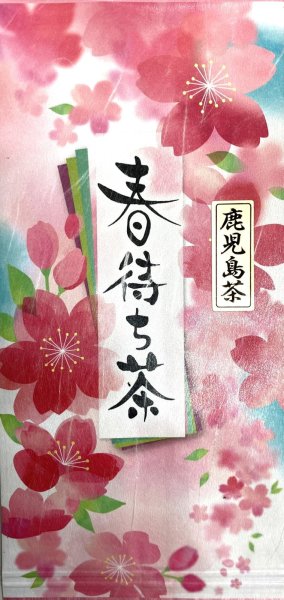 画像1: 薩摩知覧茶「春待ち茶」 (1)