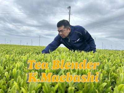 画像3: 令和7年静岡新茶「静岡・匠ブレンド」